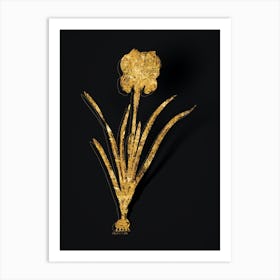 Vintage Mourning Iris Botanical in Gold on Black n.0017 Art Print