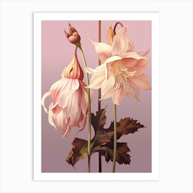 Floral Illustration Columbine 1 Art Print