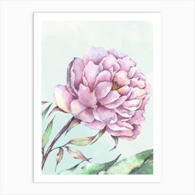 Pink Peony Watercolor Painting Art Print