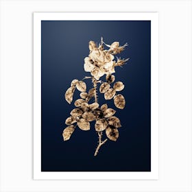 Gold Botanical Four Seasons Rose in Bloom on Midnight Navy n.0717 Art Print