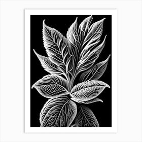 Pineapple Sage Leaf Linocut 2 Art Print