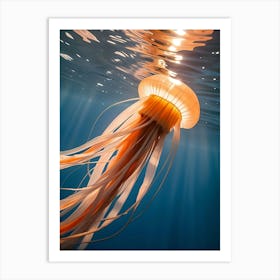 Jellyfish Art Print