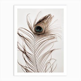 Peacock Feather 3 Art Print