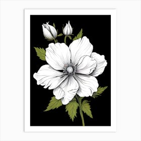 Anemone Flower 1 Art Print