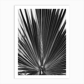 Palm Leaf 6 Art Print