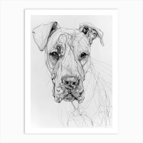 Dogo Argentino Dog Line Sketch 3 Art Print