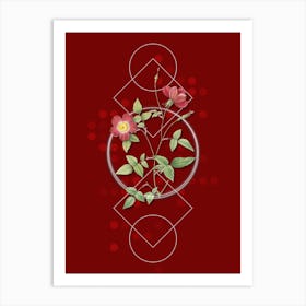Vintage Indica Stelligera Rose Botanical with Geometric Line Motif and Dot Pattern n.0405 Art Print