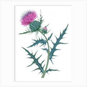 Thistle Flower Art Print