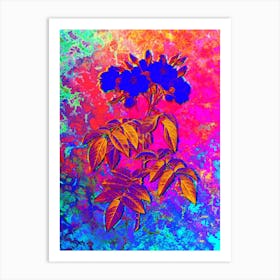 Musk Rose Botanical in Acid Neon Pink Green and Blue n.0132 Art Print