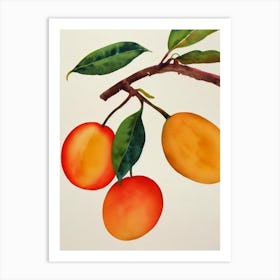 Mango Watercolour Fruit Painting Fruit Art Print