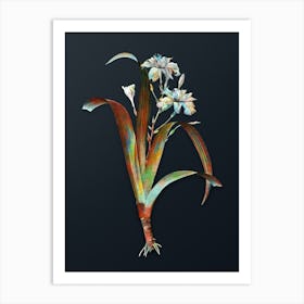 Vintage Iris Fimbriata Botanical Watercolor Illustration on Dark Teal Blue n.0265 Art Print