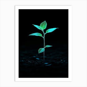 Young Green Plant In The Dark Art Print