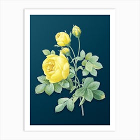 Vintage Yellow Rose Botanical Art on Teal Blue n.0686 Art Print