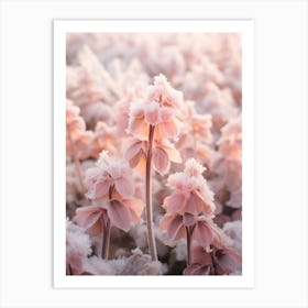 Frosty Botanical Coral Bells Art Print