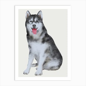 Husky Dog Art Print