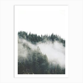 Misty Forest 1 Art Print