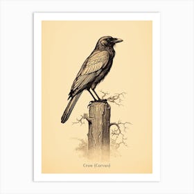 Vintage Crow Poster Art Print