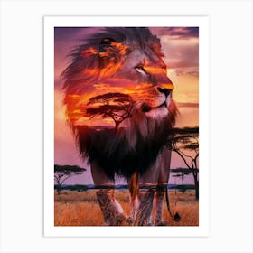 Sunset Lion 1 Art Print