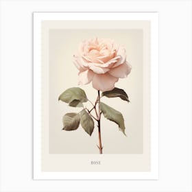 Floral Illustration Rose 2 Poster Art Print