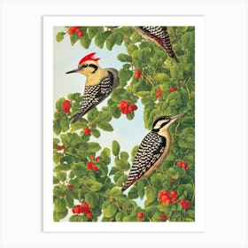 Woodpecker 2 Haeckel Style Vintage Illustration Bird Art Print