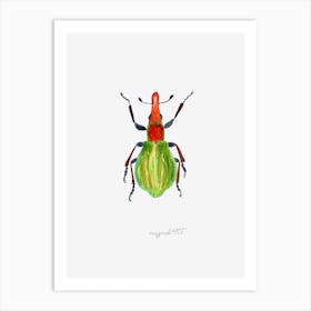 Pseudaplemonus artemisiae, a weevil, watercolor artwork Art Print