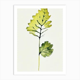 Wild Mustard Leaf Minimalist Watercolour 1 Art Print