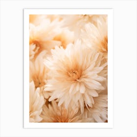 Boho Dried Flowers Calendula 4 Art Print