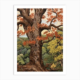 Shagbark Hickory 2 Vintage Autumn Tree Print  Art Print