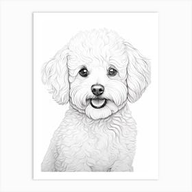 Bichon Frise Dog, Line Drawing 4 Art Print
