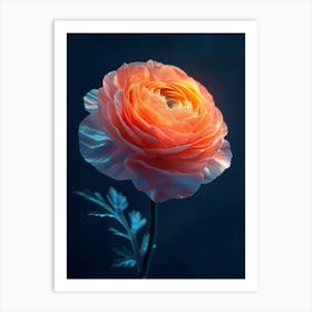 Poppies Art Print