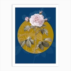Vintage Botanical Vintage Rosa Alba on Circle Yellow on Blue Art Print