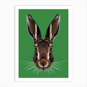 Hare Illustration 3 Art Print