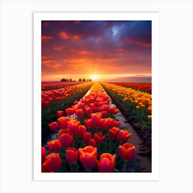 Sunset Over Tulips 1 Art Print