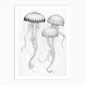 Turritopsis Dohrnii Importal Jellyfish 3 Art Print