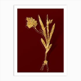 Vintage Ixia Miniata Botanical in Gold on Red n.0427 Art Print