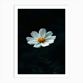 White Flower 15 Art Print