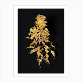 Vintage Persian Lilac Botanical in Gold on Black Art Print