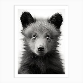 Black And White Photograph Of A Bear Cub 1 Art Print