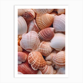 Sea Shells Art Print