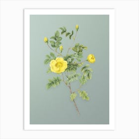 Vintage Yellow Sweetbriar Rose Botanical Art on Mint Green n.0791 Art Print