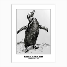 Penguin Standing On Tiptoes Poster 3 Art Print