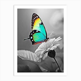 Butterfly On A Flower Art Print