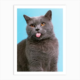 British Shorthair Cat, funny cat, cat christmas funny, funny cat tree, funny cat sweater, funny cat products, cat cat funny, cat funny cat, cat silly, funny about cats, funny cat funny, Art Print