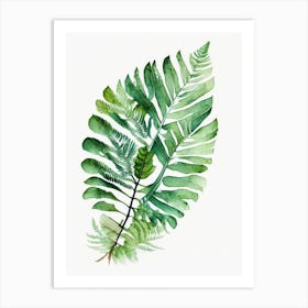 Royal Fern 1 Watercolour Art Print