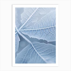 Frosty Leaf 1 Art Print