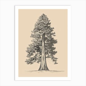 Redwood Tree Minimalistic Drawing 3 Art Print