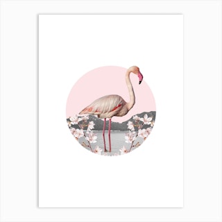 Flamingo Collage Art Print