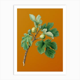 Vintage Fig Botanical on Sunset Orange n.0571 Art Print
