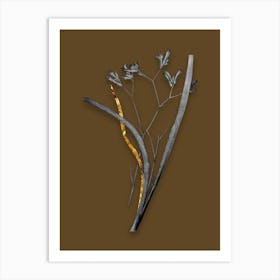 Vintage Anigozanthos Flavida Black and White Gold Leaf Floral Art on Coffee Brown n.0385 Art Print