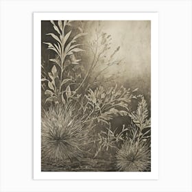 Monochrome Meadow Art Print